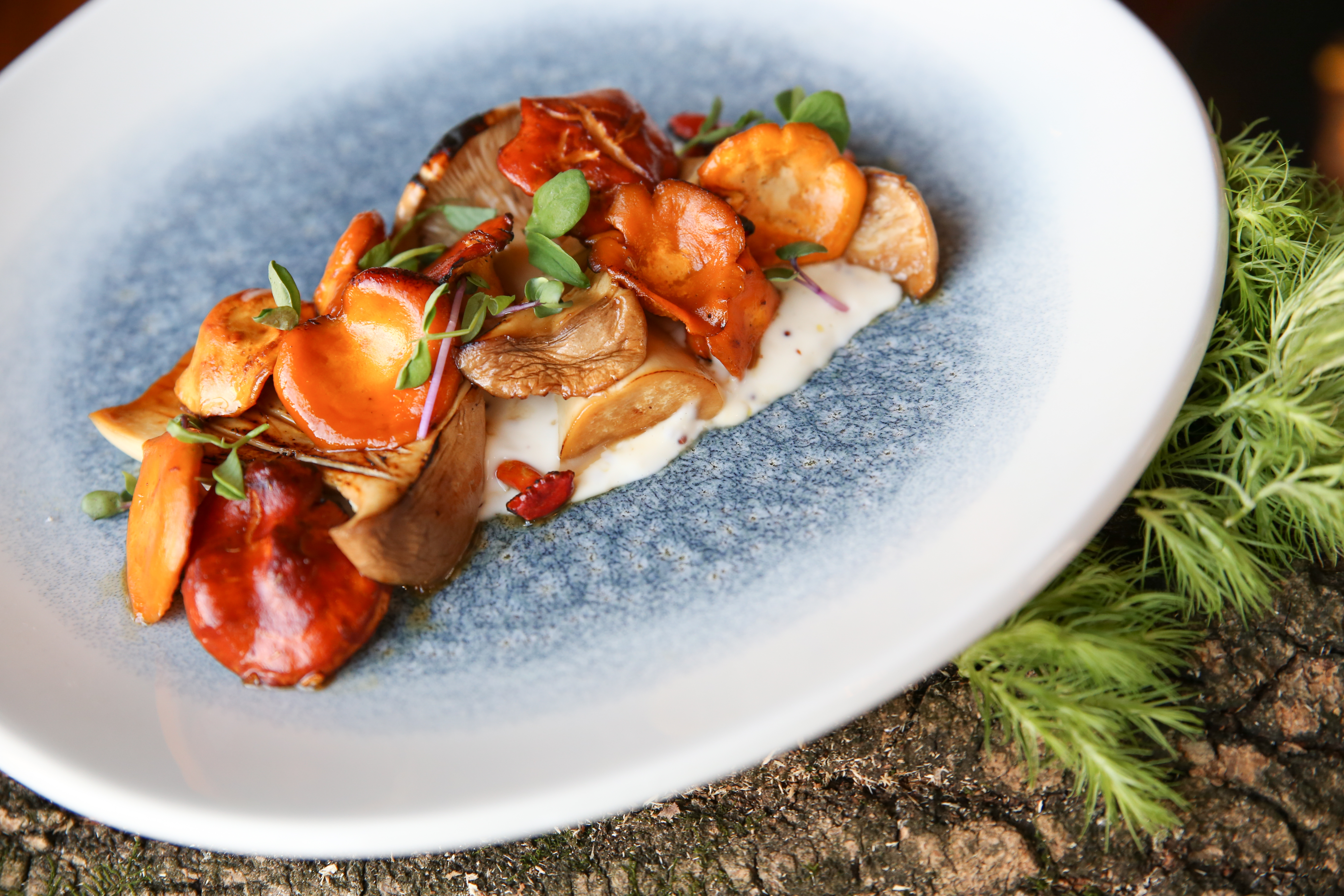 Tullibee – Hewing Hotel – Gentleman Forager