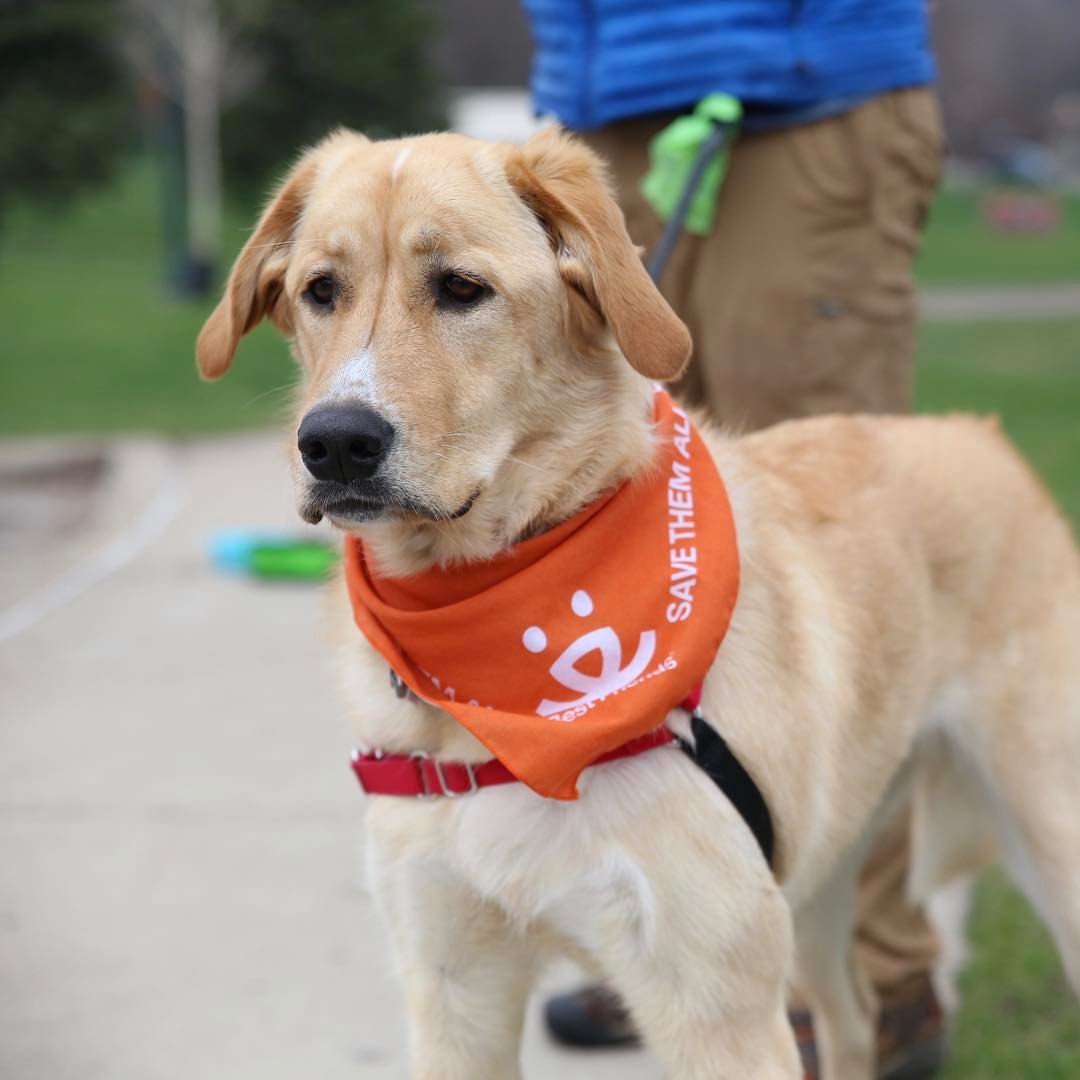 Best Friends Animal Society