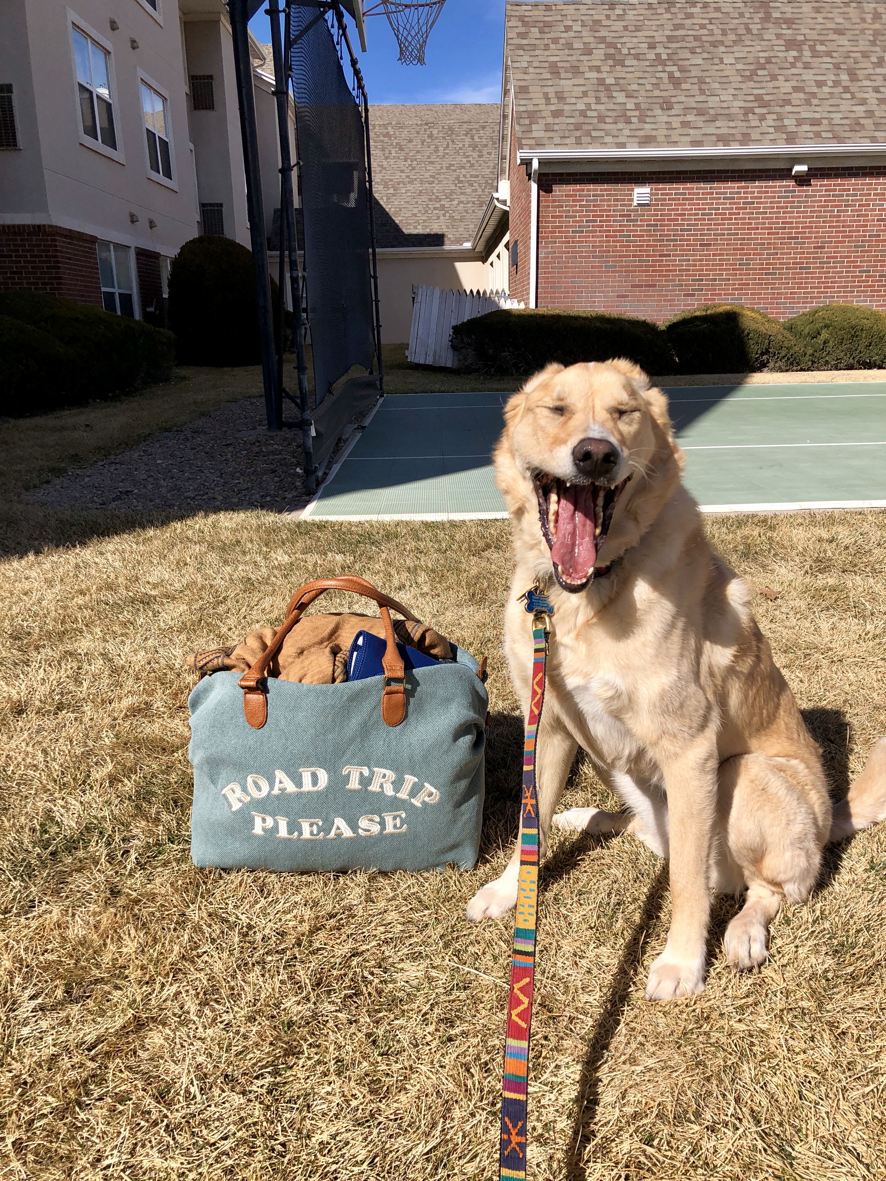 fri-yay!