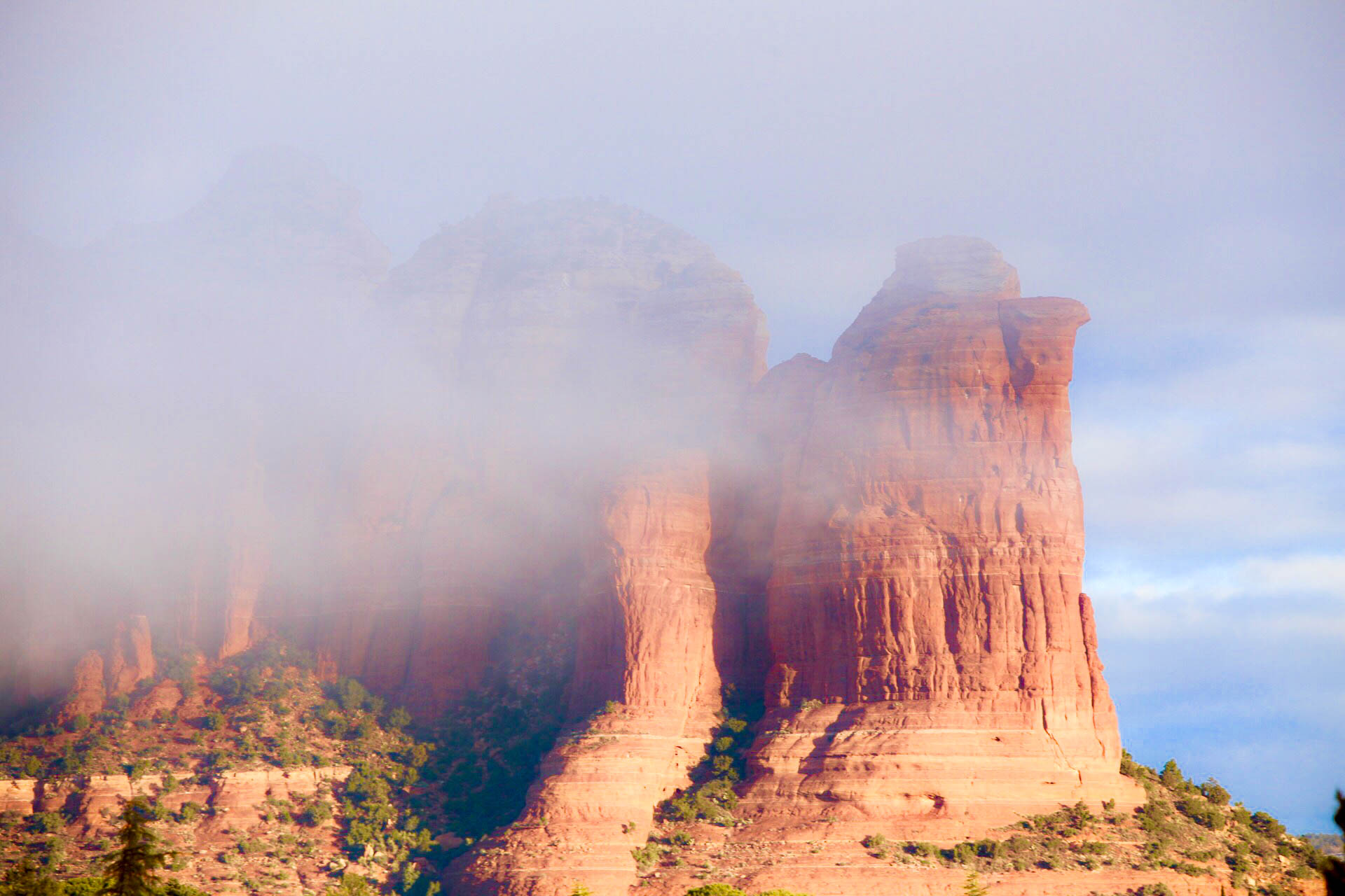 the fog