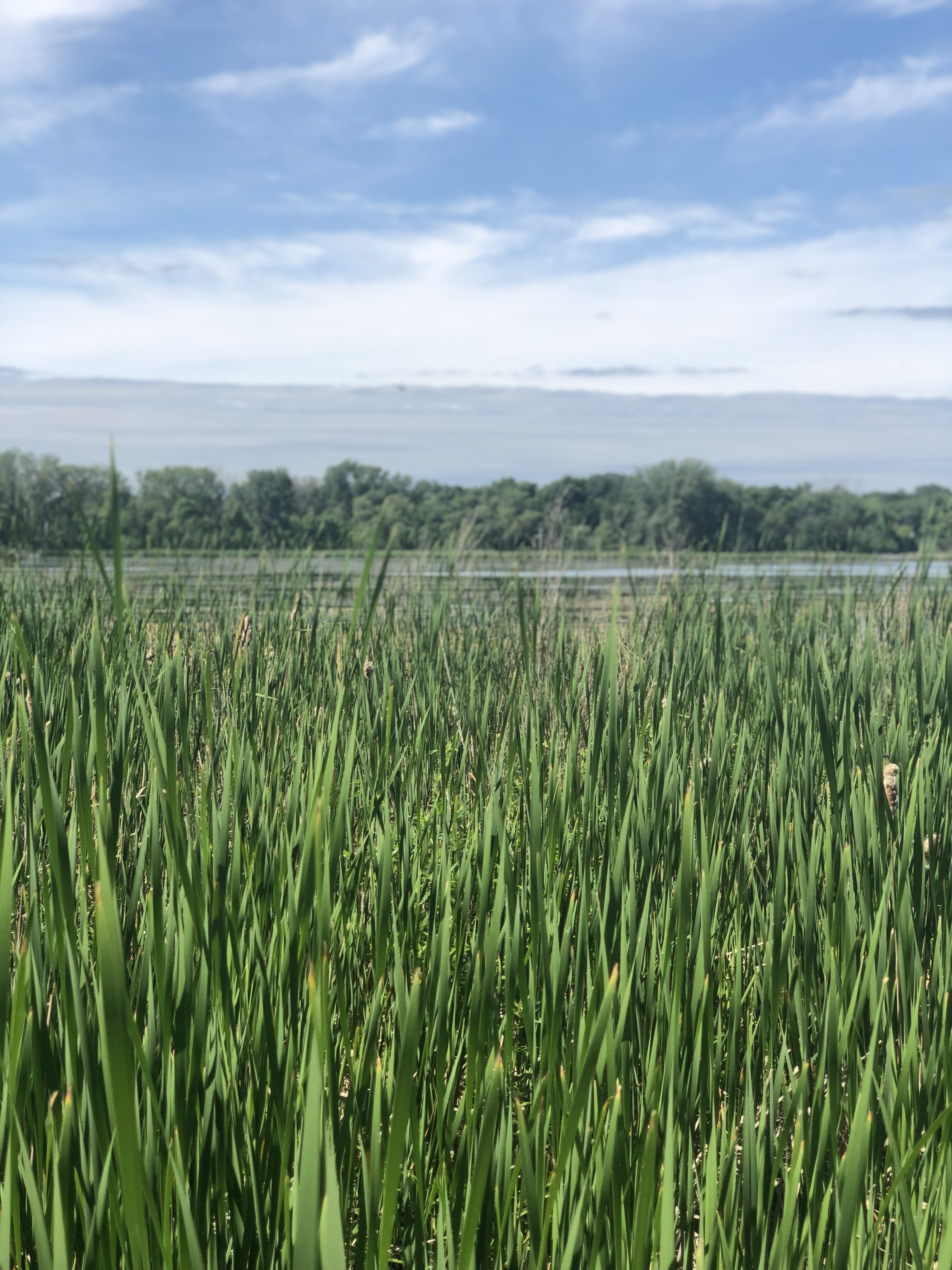 Keep It Simple – Westwood Hills Nature Center – Minnesota
