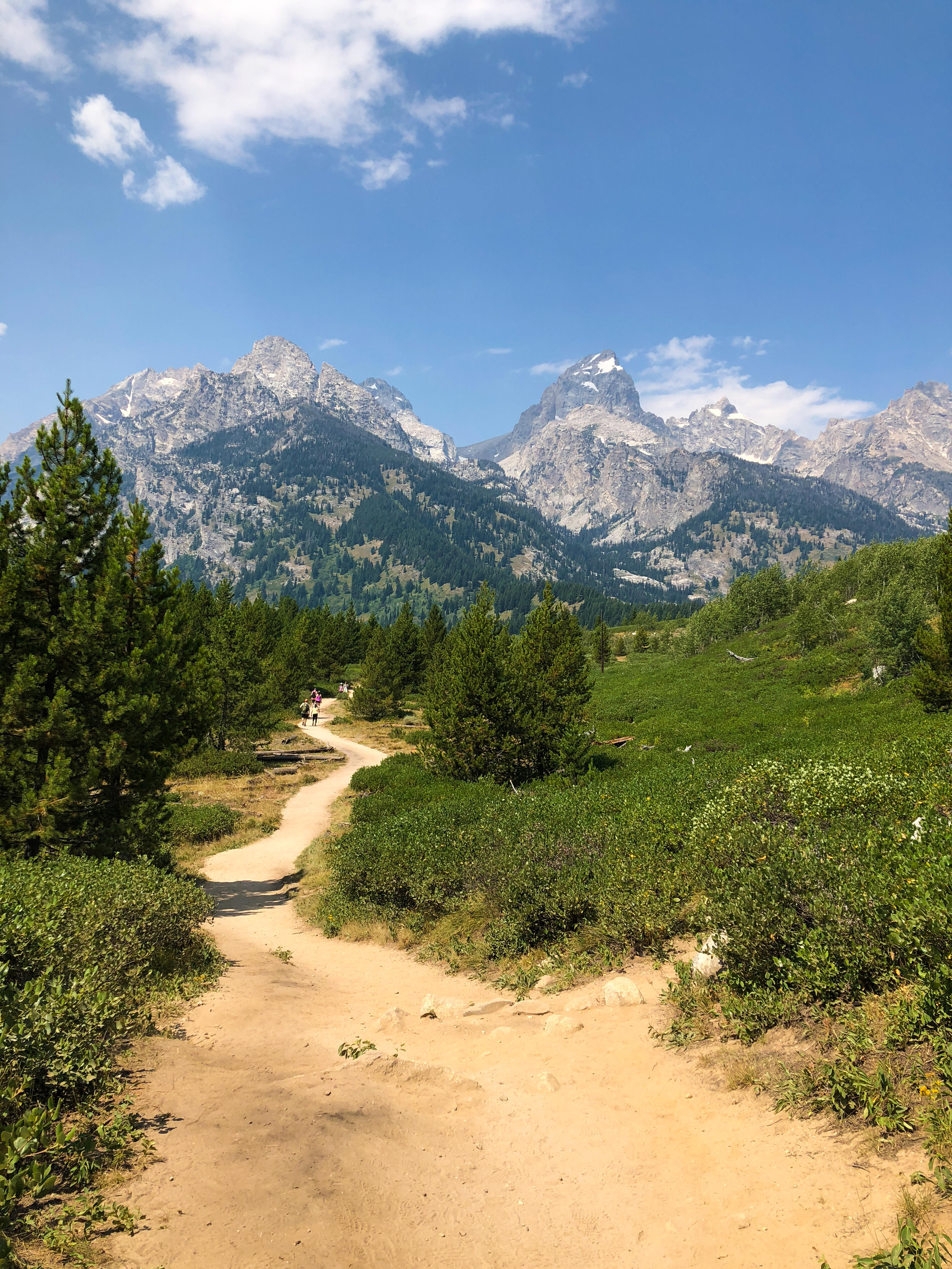 Tag Responsibly, Keep Jackson Hole Wild