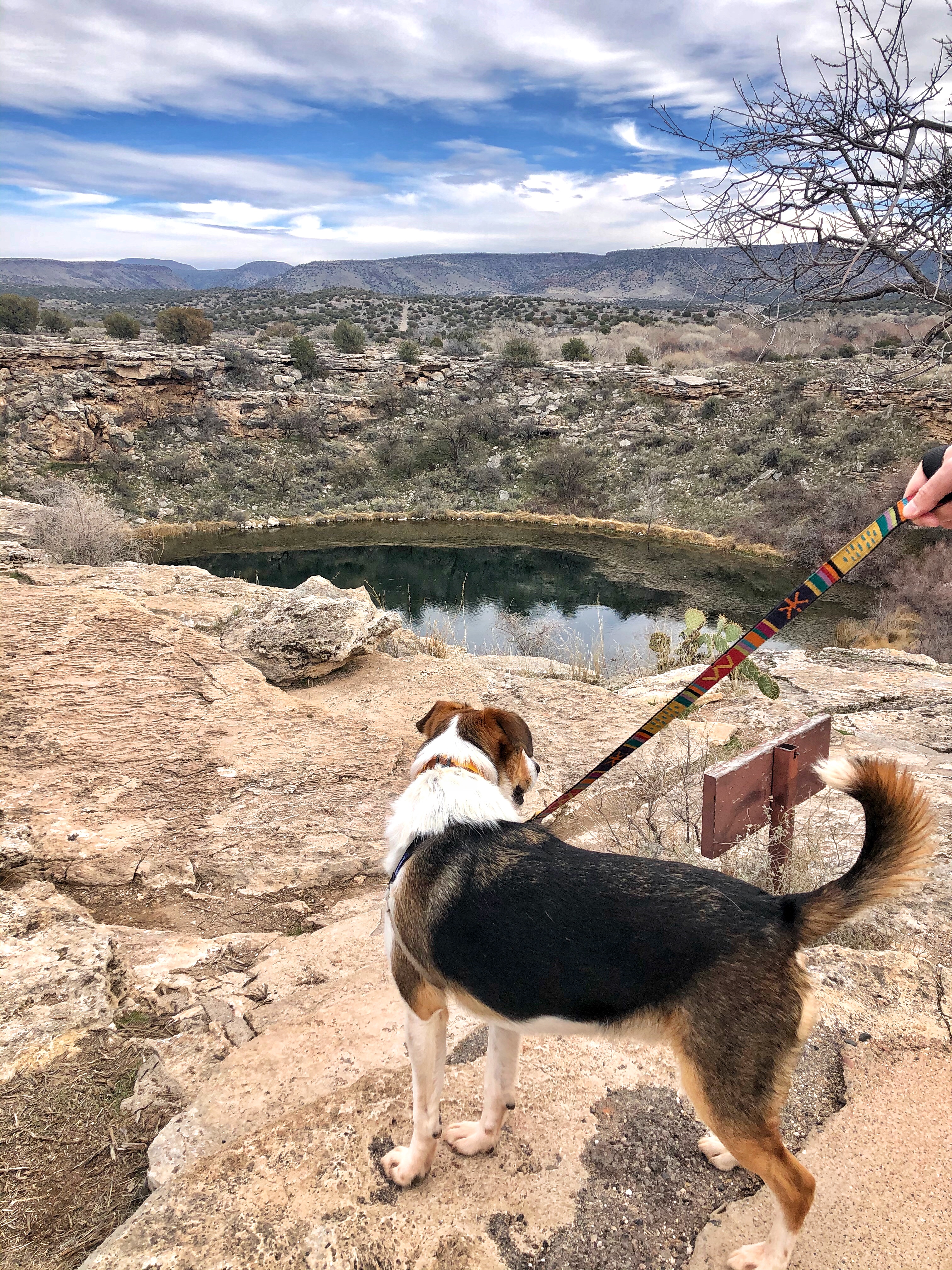 Explore Montezuma Well