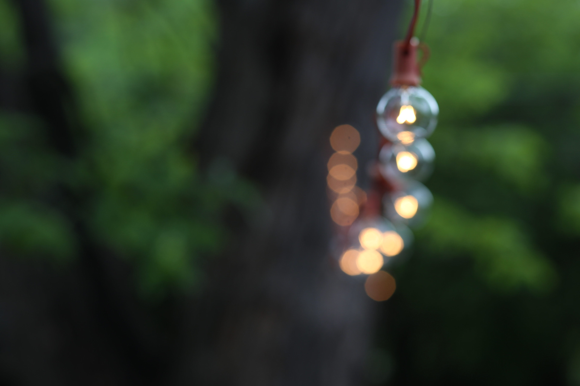 What Stirs Your Soul – Growing During Hard Times
