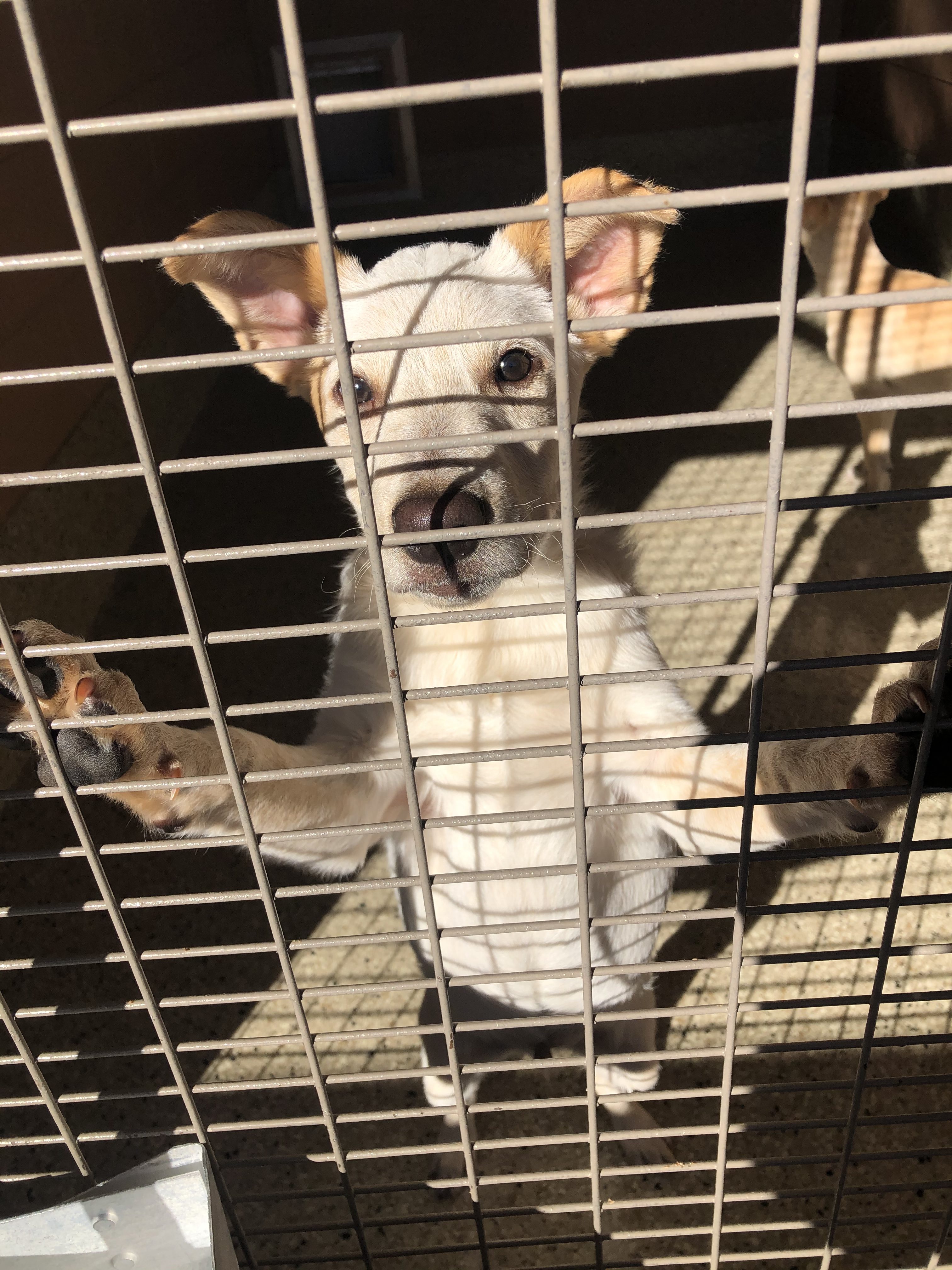 Best Friends – Giving Tuesday Now