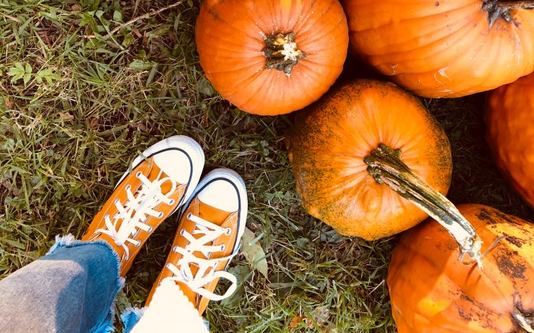 Best Pumpkin Patch In Minnesota