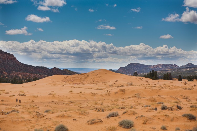 Coral Pink Sand Dunes