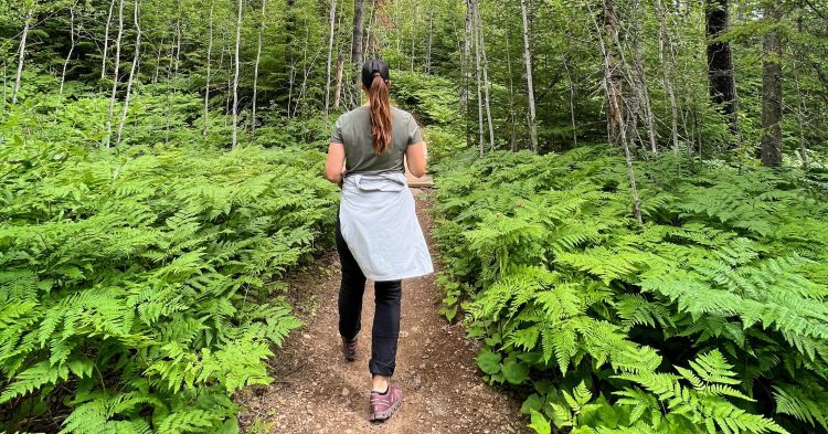 National Scenic Trails in Minnesota and Wisconsin